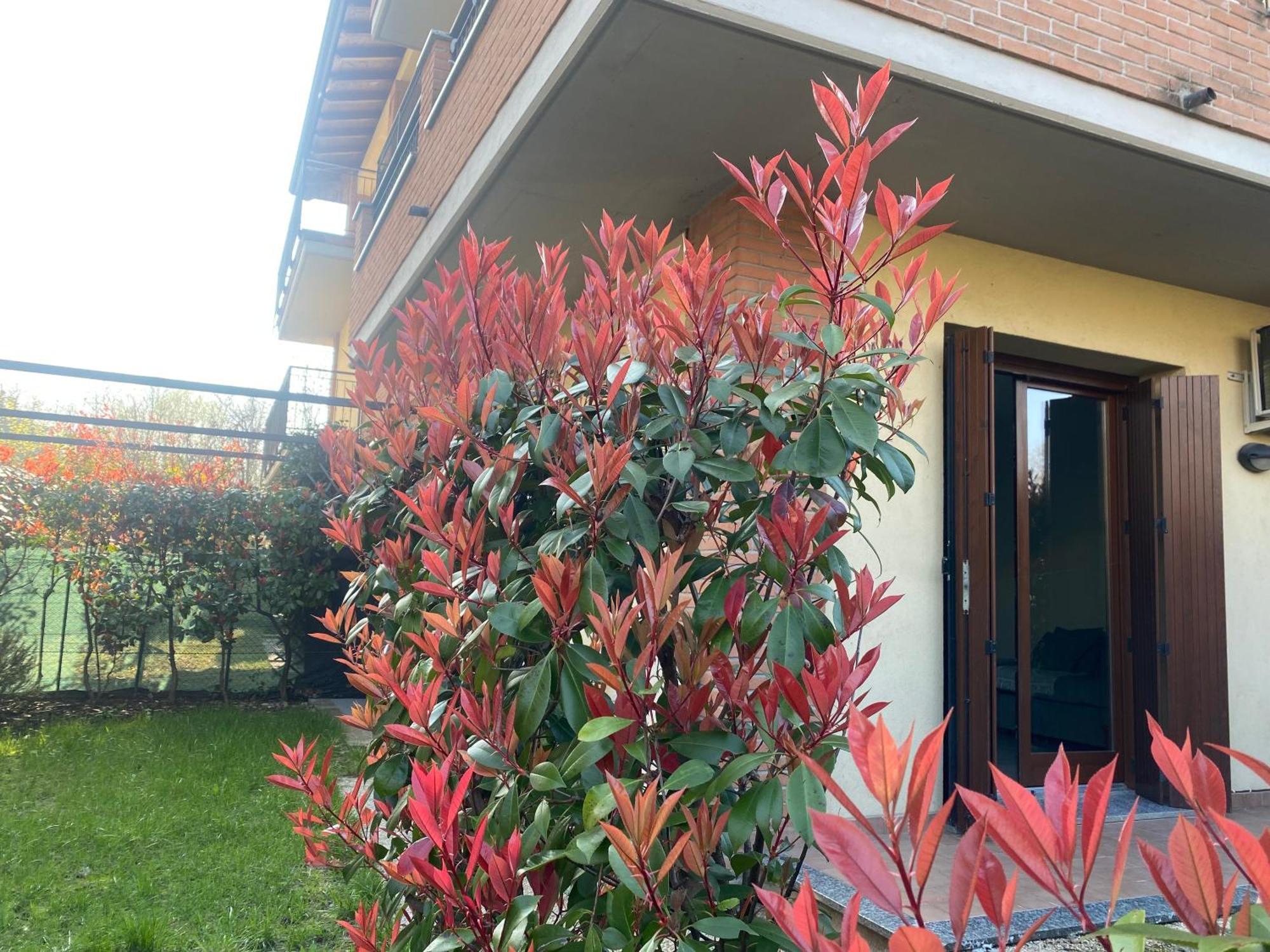 Camille Garden Home - Free Park Como Ngoại thất bức ảnh